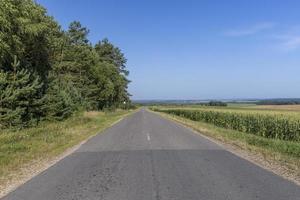 Paved road through the forest photo