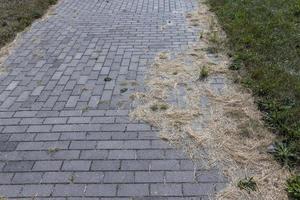 part of the road is destroyed by grass and other plants photo