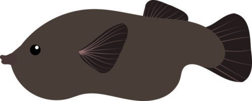 pesce simpatico cartone animato png