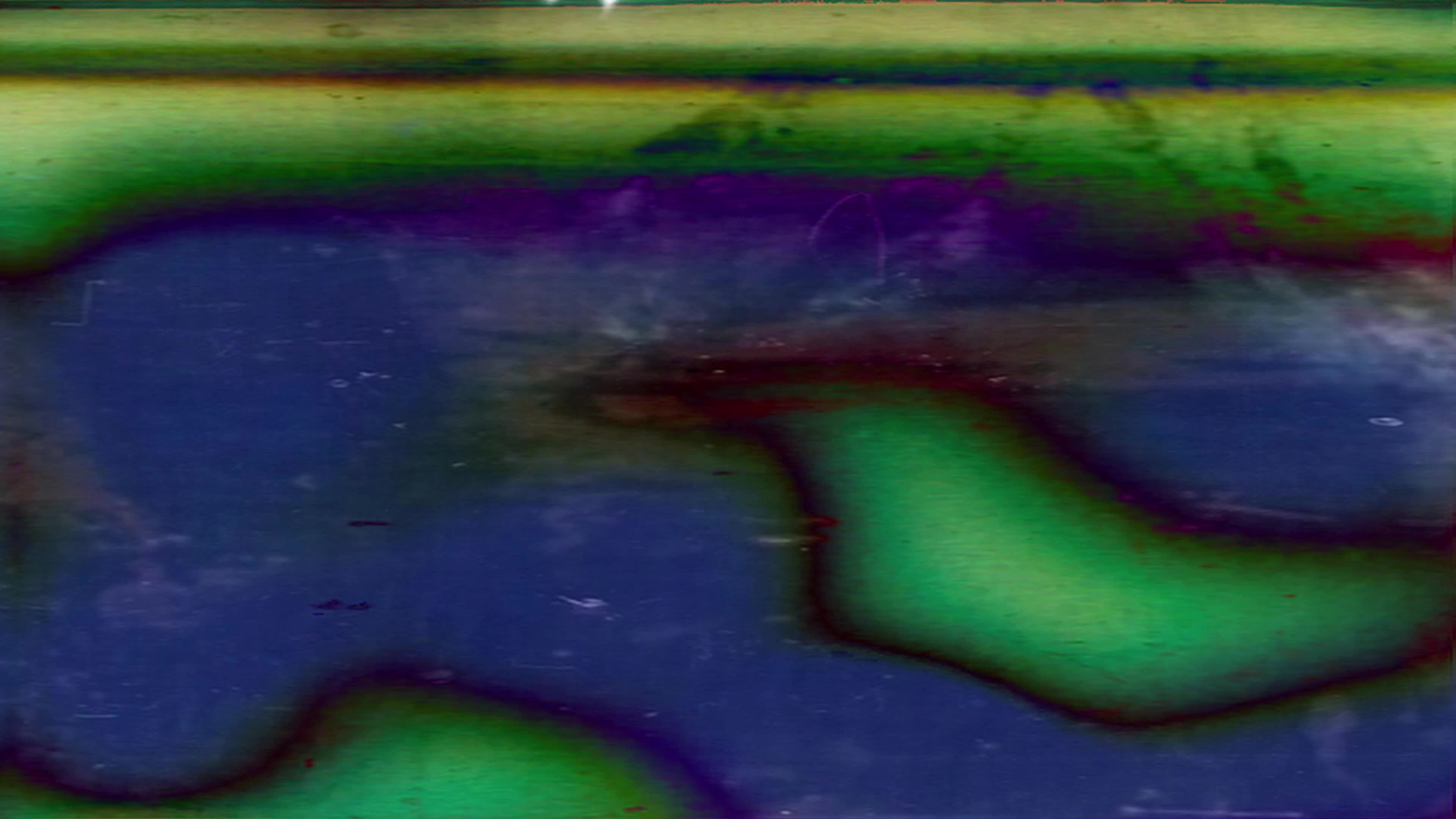 Pulsing colors and sprocket holes on damaged old film Loop 11659319