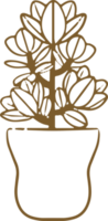 Foliage Plant element png