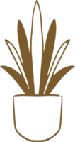 Foliage Plant element png