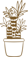 Foliage Plant element png