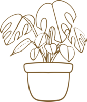 Foliage Plant element png