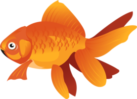 GoldFish Cartoon Character png