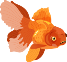 pesce rosso cartone animato personaggio png