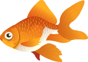 personnage de dessin animé de poisson rouge png