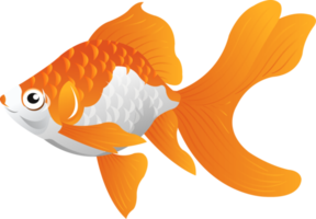 pesce rosso cartone animato personaggio png