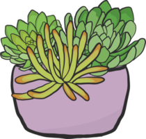 ensemble de peinture de cactus, style dessiné à la main. png