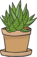 cactus pittura impostare, mano disegnato stile. png