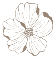 Flowers. Hand-drawn illustrations png