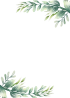 verde acquerello le foglie png