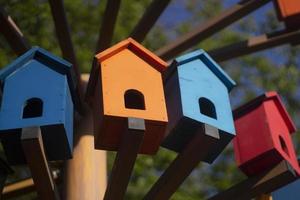 Houses for birds. Colored wooden houses. An element in the park. Art object for animals. photo