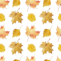 Watercolor autumn leaves pattern png