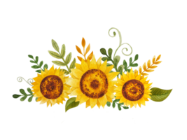 Watercolor sunflowers bouquets png