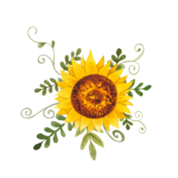 Watercolor sunflowers bouquets png