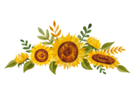 Watercolor sunflowers bouquets png