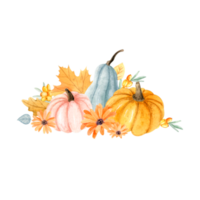 Watercolor autumn pumpkin arrangement png