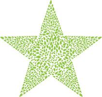 Leaves Star shape Logo design. vector