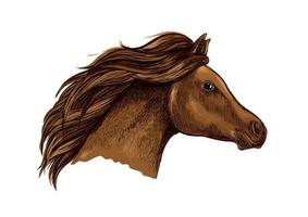 Sketched brown horse for equestrian design vector