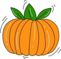 Pumpkin cartoon doodle png