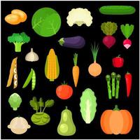 Selected healthful fresh vegetables flat icons vector