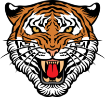 illustration de visage de tigre png