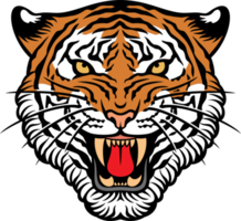 Tiger Face Illustration png