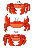 Happy red ocean cartoon crabs with large claws vector