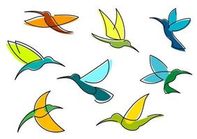 iconos de colibríes azules, naranjas y verdes vector