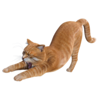 renderização em 3d de gato fofo png