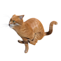 renderização em 3d de gato fofo png