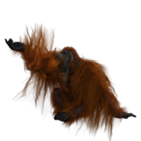 carino orang utan nel stile png