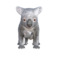 lindo coala renderização em 3d png