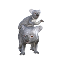 süße koala 3d-rendering png