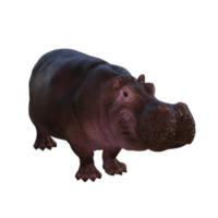 l'hippopotame pose png