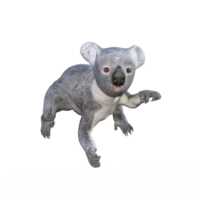 linda representación 3d de koala png