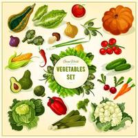 Organic fresh vegetables and herbs poster vector