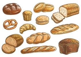 Bread sorts and bakery pencil sketch icons vector