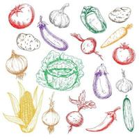 iconos de verduras frescas saludables esbozadas vector