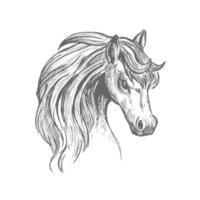 Head of a horse with wavy mane sketch symbol vector