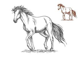 Running white horse sketch portrait vector