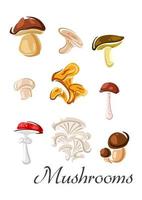 Forest mushrooms set in cartoon style vector