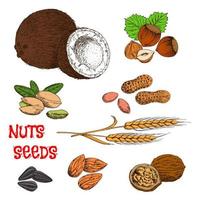 Nuts, seeds, beans and cereal sketch symbol vector