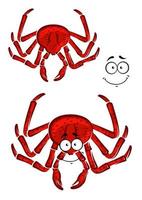 Red marine crab with a happy smile vector