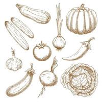Fresh vegetables isolated sketches set vector