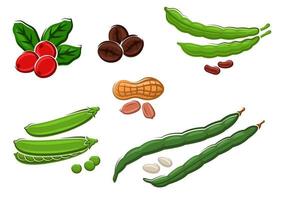 una variedad de legumbres y nueces frescas de dibujos animados vector