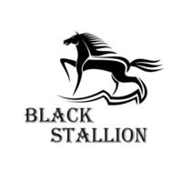 Horse show symbol with purebred stallion at a trot vector