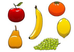 Fresh juicy and ripe isolated fruits vector