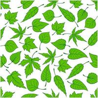 Spring green leaves seamless pattern background vector